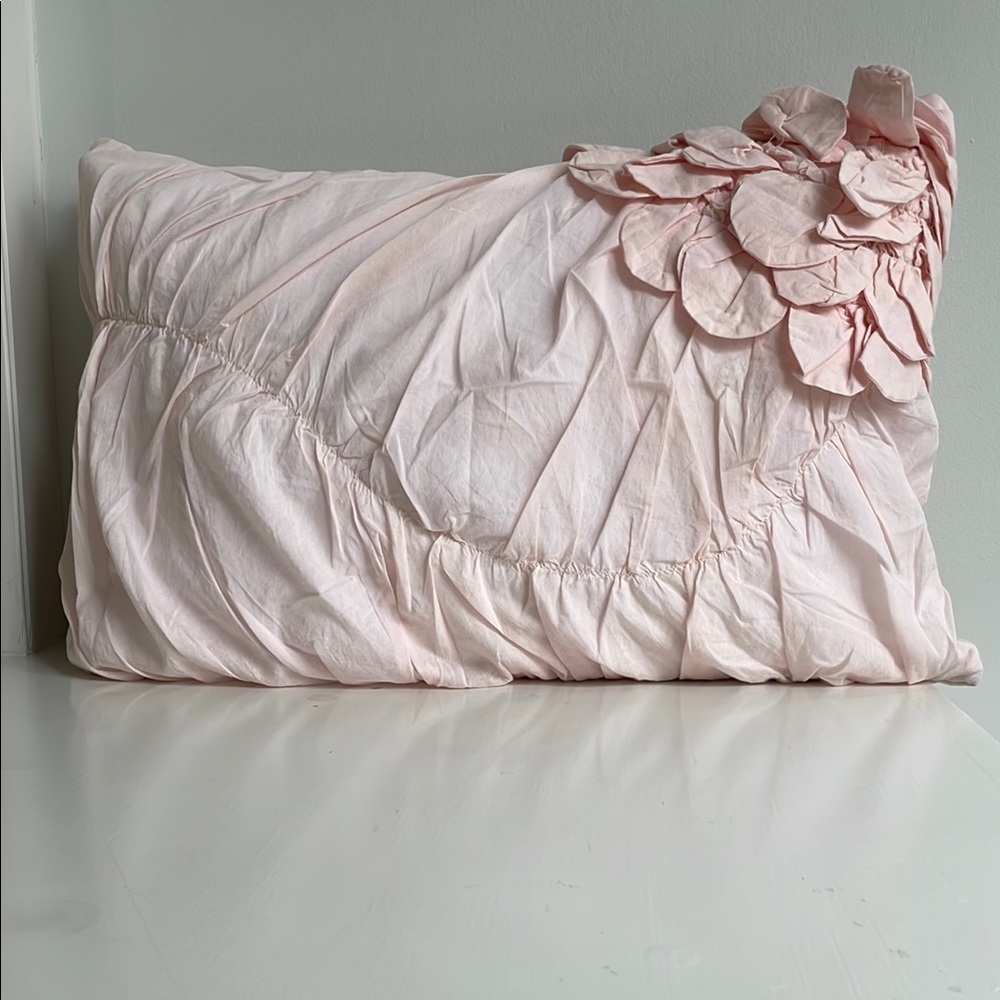 RH Teen/ Baby and Child Pink Washed Appliquéd Fleur Sham